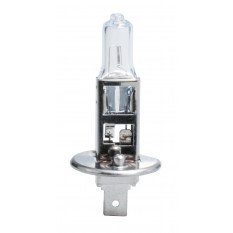 M-TECH Halogen bulb H1 24V/70W 