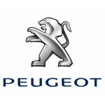 Peugeot | Pagal automobilį