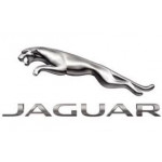 Jaguar | Pagal automobilį