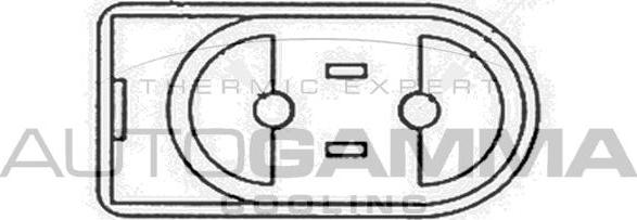 Autogamma GA201480 - Ventiliatorius, radiatoriaus autoreka.lt