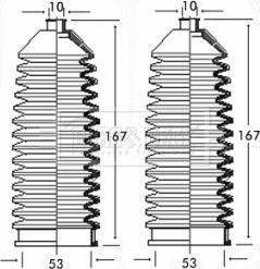 Borg & Beck BSG3177 - Gofruotoji membrana, vairavimas autoreka.lt