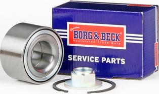 Borg & Beck BWK1046 - Rato guolio komplektas autoreka.lt