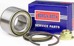 Borg & Beck BWK1363 - Rato guolio komplektas autoreka.lt