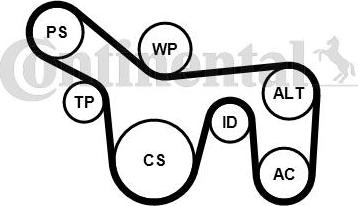 Contitech 6PK1715WP1 - Vandens siurblys + V formos rumbuotas diržas, komplektas autoreka.lt