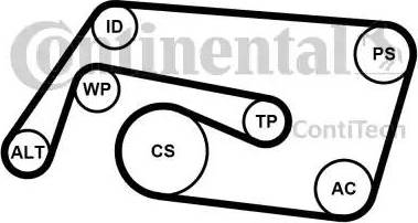Continental 6PK2260K2 - V formos rumbuotas diržas, komplektas autoreka.lt