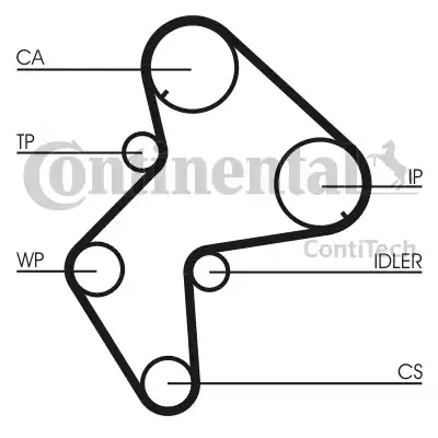 Continental CT772K1 - Paskirstymo diržo komplektas autoreka.lt