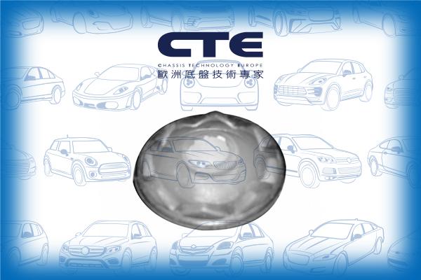 CTE CBH03010 - Valdymo svirties / išilginių svirčių įvorė autoreka.lt