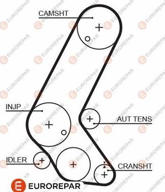 EUROREPAR 1633130880 - Paskirstymo diržas autoreka.lt