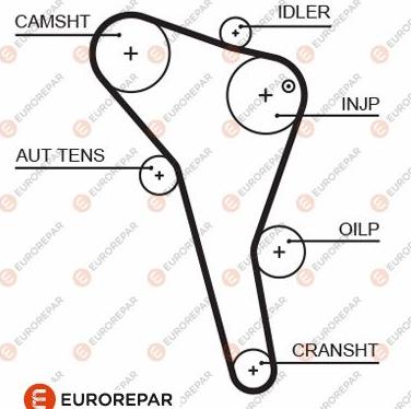 EUROREPAR 1633129180 - Paskirstymo diržas autoreka.lt