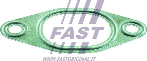 Fast FT49428 - Tarpiklis, išleidimo kolektorius autoreka.lt