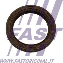 Fast FT49852 - Veleno sandariklis, diferencialas autoreka.lt