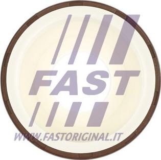 Fast FT49817 - Veleno sandariklis, alkūninis velenas autoreka.lt