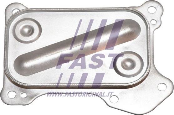 Fast FT55261 - Alyvos aušintuvas, variklio alyva autoreka.lt