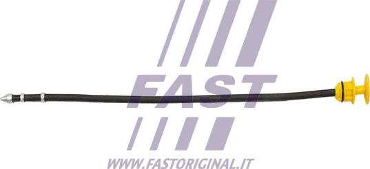 Fast FT80321 - Alyvos lygio matuoklis autoreka.lt