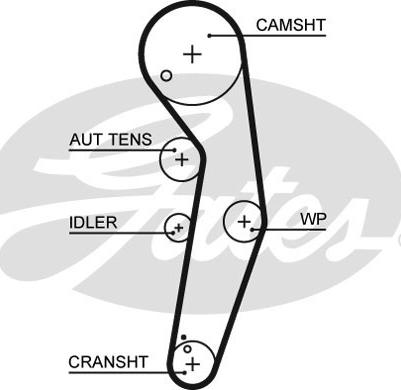 Gates K065569XS - Paskirstymo diržo komplektas autoreka.lt