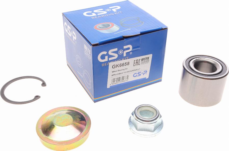 GSP GK6658 - Rato guolio komplektas autoreka.lt