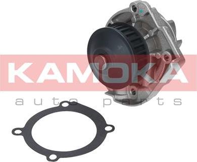 Kamoka T0118 - Vandens siurblys autoreka.lt