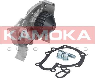 Kamoka T0243 - Vandens siurblys autoreka.lt