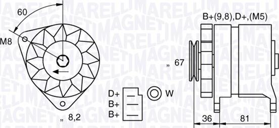 Magneti Marelli 054022384010 - Kintamosios srovės generatorius autoreka.lt