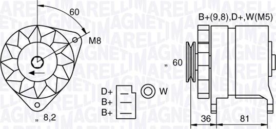 Magneti Marelli 063730021010 - Kintamosios srovės generatorius autoreka.lt