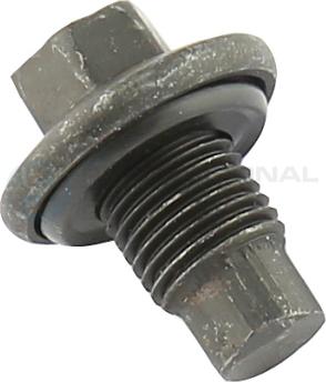 Professional Parts 21431617 - Alyvos išleidimo kaištis, alyvos karteris autoreka.lt