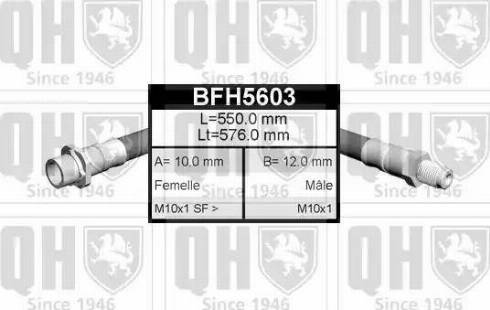 Quinton Hazell BFH5603 - Stabdžių žarnelė autoreka.lt
