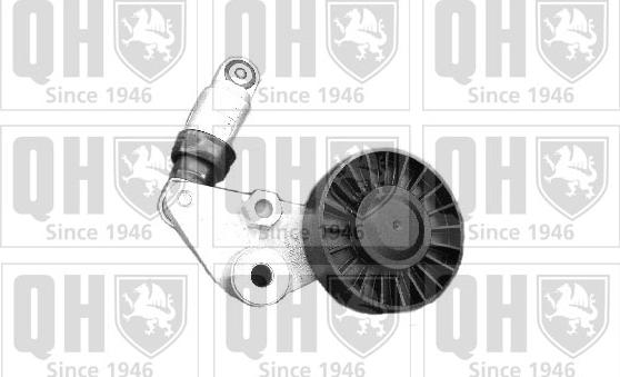 Quinton Hazell QTA1065 - Diržo įtempiklis, V formos rumbuotas diržas autoreka.lt