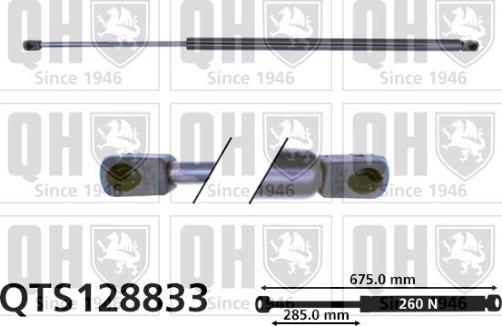 Quinton Hazell QTS128833 - Dujinė spyruoklė, gaubtas autoreka.lt