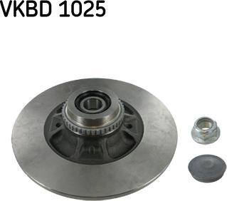 SKF VKBD 1025 - Stabdžių diskas autoreka.lt