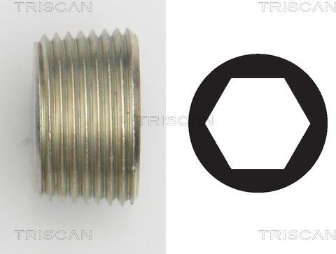 Triscan 9500 1015 - Alyvos išleidimo kaištis, alyvos karteris autoreka.lt