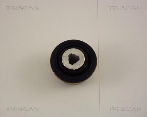 Triscan 8500 25806 - Valdymo svirties / išilginių svirčių įvorė autoreka.lt