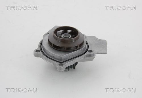 Triscan 8600 29057 - Vandens siurblys autoreka.lt