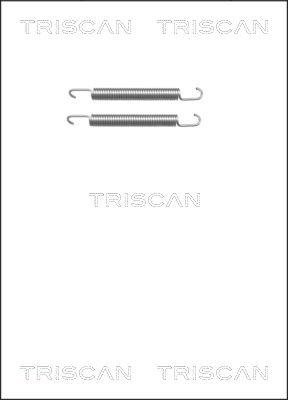 Triscan 8105 652161 - Priedų komplektas, stovėjimo stabdžių trinkelės autoreka.lt