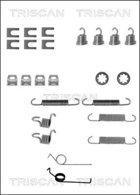 Triscan 8105 162046 - Priedų komplektas, stabdžių trinkelės autoreka.lt