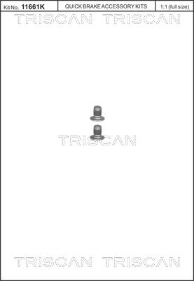 Triscan 8105 116002 - Varžtų komplektas, stabdžių diskas autoreka.lt