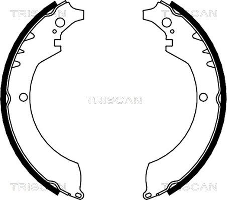 Triscan 8100 41419 - Stabdžių trinkelių komplektas autoreka.lt