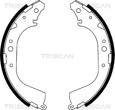 Triscan 8100 10519 - Stabdžių trinkelių komplektas autoreka.lt