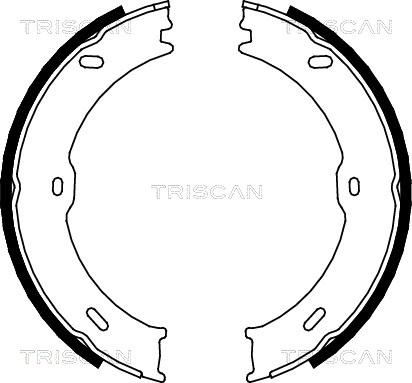 Triscan 8100 10023 - Stabdžių trinkelių komplektas autoreka.lt