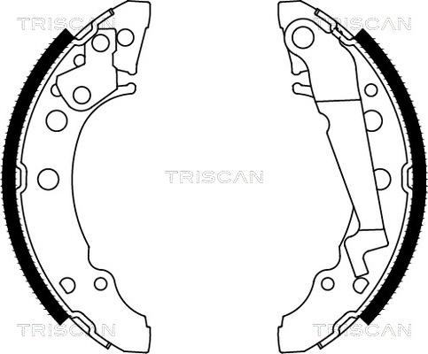 Triscan 8100 29001 - Stabdžių trinkelių komplektas autoreka.lt