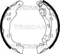Triscan 8100 25001 - Stabdžių trinkelių komplektas autoreka.lt