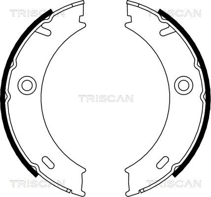 Triscan 8100 23025 - Stabdžių trinkelių komplektas, stovėjimo stabdis autoreka.lt