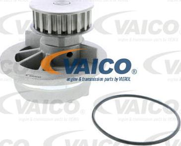 VAICO V40-50042 - Vandens siurblys autoreka.lt