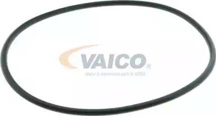 VAICO V10-50019 - Vandens siurblys autoreka.lt