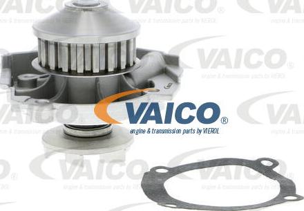 VAICO V24-50001 - Vandens siurblys autoreka.lt