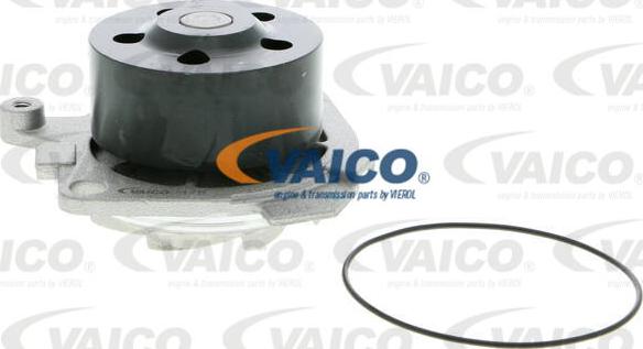VAICO V24-50010 - Vandens siurblys autoreka.lt