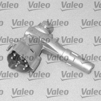 Valeo 256491 - Užrakto cilindras autoreka.lt