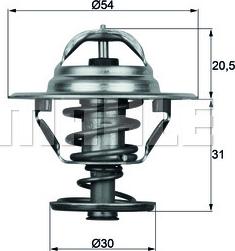 Wilmink Group WG1104798 - Termostatas, aušinimo skystis autoreka.lt