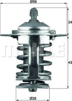 Wilmink Group WG1264902 - Termostatas, aušinimo skystis autoreka.lt