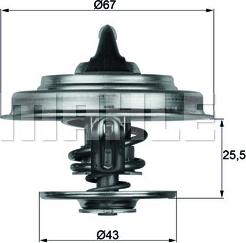 Wilmink Group WG1262816 - Termostatas, aušinimo skystis autoreka.lt