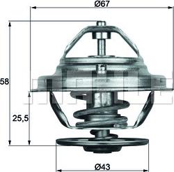 Wilmink Group WG1262707 - Termostatas, aušinimo skystis autoreka.lt